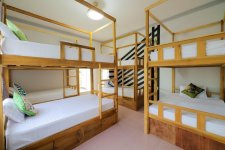 1762762686604.jpeg 1762762686604.jpeg