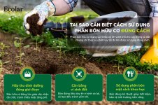 hiểu và sử dụng đúng.jpg hiểu và sử dụng đúng.jpg