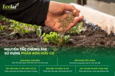 nguyên tắc.jpg nguyên tắc.jpg