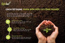 cách sử dụng.jpg cách sử dụng.jpg
