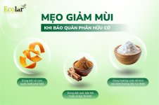 mẹo giảm mùi.jpg mẹo giảm mùi.jpg