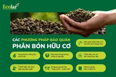 cách bảo quản.jpg cách bảo quản.jpg