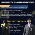 Top Security Guard Services In Ontario.jpg