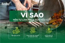 vì sao.jpg vì sao.jpg