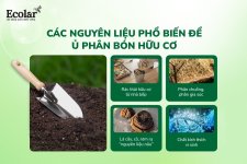 các nguyên liệu.jpg các nguyên liệu.jpg