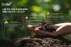 lợi íhc.jpg lợi íhc.jpg