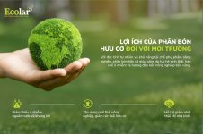 với môi trường.jpg với môi trường.jpg