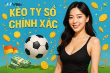 keo-ty-so-chinh-xac-w88-vt.jpg