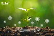 thành phần.jpg thành phần.jpg