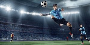 1763537173141.jpeg 1763537173141.jpeg