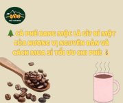 BẠN CÓ BIẾT (15).jpg BẠN CÓ BIẾT (15).jpg