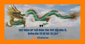 2012_menh_gi (1).png