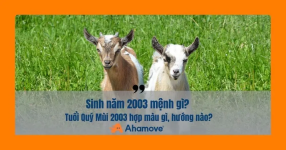 2003_menh_gi.png 2003_menh_gi.png