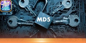 1764250849572.jpeg 1764250849572.jpeg