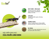 1764312676181.png 1764312676181.png