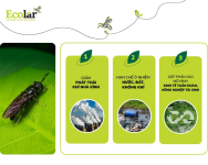 1764312676193.png 1764312676193.png