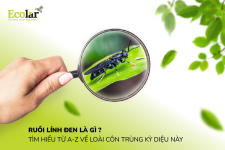 1764312676168.png 1764312676168.png