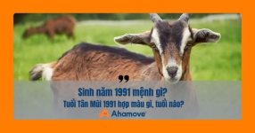 1991_menh_gi.png 1991_menh_gi.png