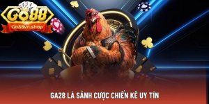 1764525399149.jpeg 1764525399149.jpeg