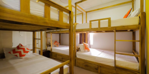 1764994397775.png 1764994397775.png