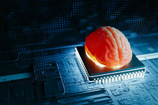 image_1 - 2025-12-08T131140.095.png