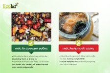 guon-thuc-an-quan-trong-doi-voi-bsfly_cf97e8fbb8984a3d87004f5f8e02b7b2.jpg guon-thuc-an-quan-trong-doi-voi-bsfly_cf97e8fbb8984a3d87004f5f8e02b7b2.jpg