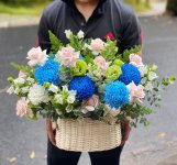 Dịch Vụ Điện Hoa Vĩnh Phúc.jpg