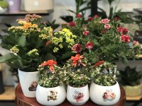 Chậu hoa tươi để bàn tại Vĩnh Phúc – Tô điểm không gian sống.jpg