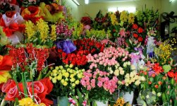 Thị trường hoa tươi tại Phúc Yên.jpg