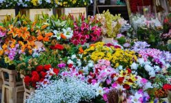 Shop hoa tươi tại Vĩnh Tường – Hoa đẹp, tươi lâu, giao nhanh.jpg