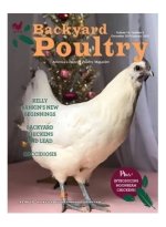 backyard_poultry_upscaled.jpg backyard_poultry_upscaled.jpg