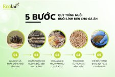 uy-trinh-nuoi-ruoi-linh-den-cho-ga-an_8d556eafdbfa455982a766b9146c89cc (1).jpg