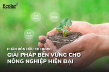 nail-phan-bon-huu-co-humic-giai-phap-ben-vung-cho-nong-nghiep-hien-dai_8f660dcceb454a51a8effd9...jpg nail-phan-bon-huu-co-humic-giai-phap-ben-vung-cho-nong-nghiep-hien-dai_8f660dcceb454a51a8effd9...jpg