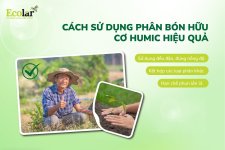 g-phan-bon-huu-co-humic-hieu-qua--100_83cc9d9a622a49ba80ce323d6655ebb2.jpg g-phan-bon-huu-co-humic-hieu-qua--100_83cc9d9a622a49ba80ce323d6655ebb2.jpg