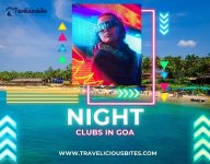 Nightclubs in Goa.jpg
