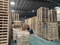 z7335130021596_f0b7d23b0b1f59296467ee3821bcee0d (1).jpg