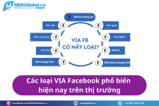 1768120245198.png 1768120245198.png