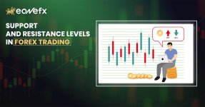 Support and Resistance Levels in Forex Trading.jpg