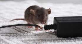 1769434065194.png 1769434065194.png