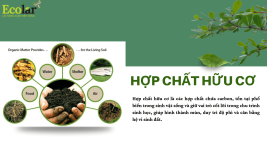 hchc_eco_eecddb7cfceb46df9a1c05f06cee385f.png hchc_eco_eecddb7cfceb46df9a1c05f06cee385f.png