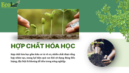 hchh_eco_7828647b2d124199b8434dabfffd8e1e.png hchh_eco_7828647b2d124199b8434dabfffd8e1e.png