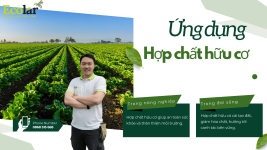 ung_dung_eco_3ca1a27adb02482298a176d5cda41553.png ung_dung_eco_3ca1a27adb02482298a176d5cda41553.png