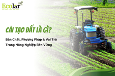 thumm1__1__dd6aa023e38c4258ba51dc60aba57766 (1).png