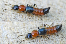 1769868046079.png 1769868046079.png