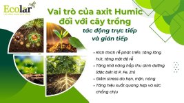 _tro_cua_axit_humic_doi_voi_cay_trong_e761b26a3879400e8466eb1016d24857.jpg _tro_cua_axit_humic_doi_voi_cay_trong_e761b26a3879400e8466eb1016d24857.jpg