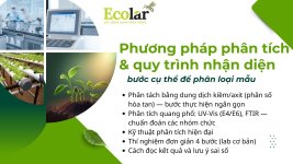 _phap_phan_tich___quy_trinh_nhan_dien_cb06a3e7142245d79f29b0e5418df92a.jpg