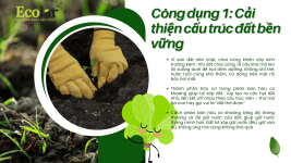 cong-dung-1-cai-thien-cau-truc-dat_573b9d9a14b748c3bbea43c5277c4b22.png