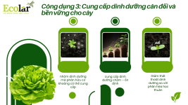cong-dung-3-cung-cap-dinh-duong_216a2e946c5f4e0c927a4d45c2e7b6b7.png