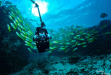 Screenshot 2025-12-23 121623.png