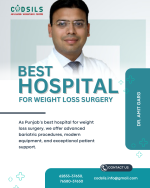 best hospital for weight loss surgery (2).png best hospital for weight loss surgery (2).png